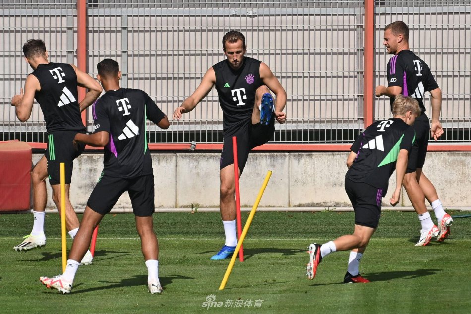 管晨辰也会 管晨辰也会