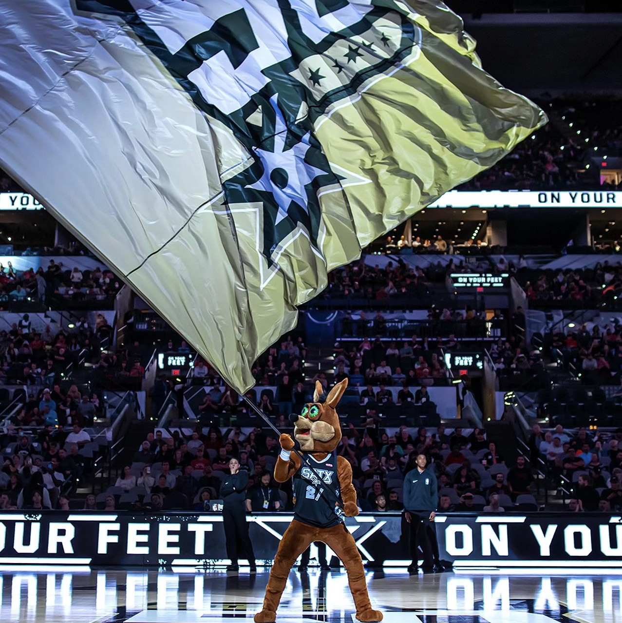 具有极强的 具有极强的